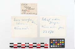 Etikett zu Tierknochen (NHMW-PRAE-023876)